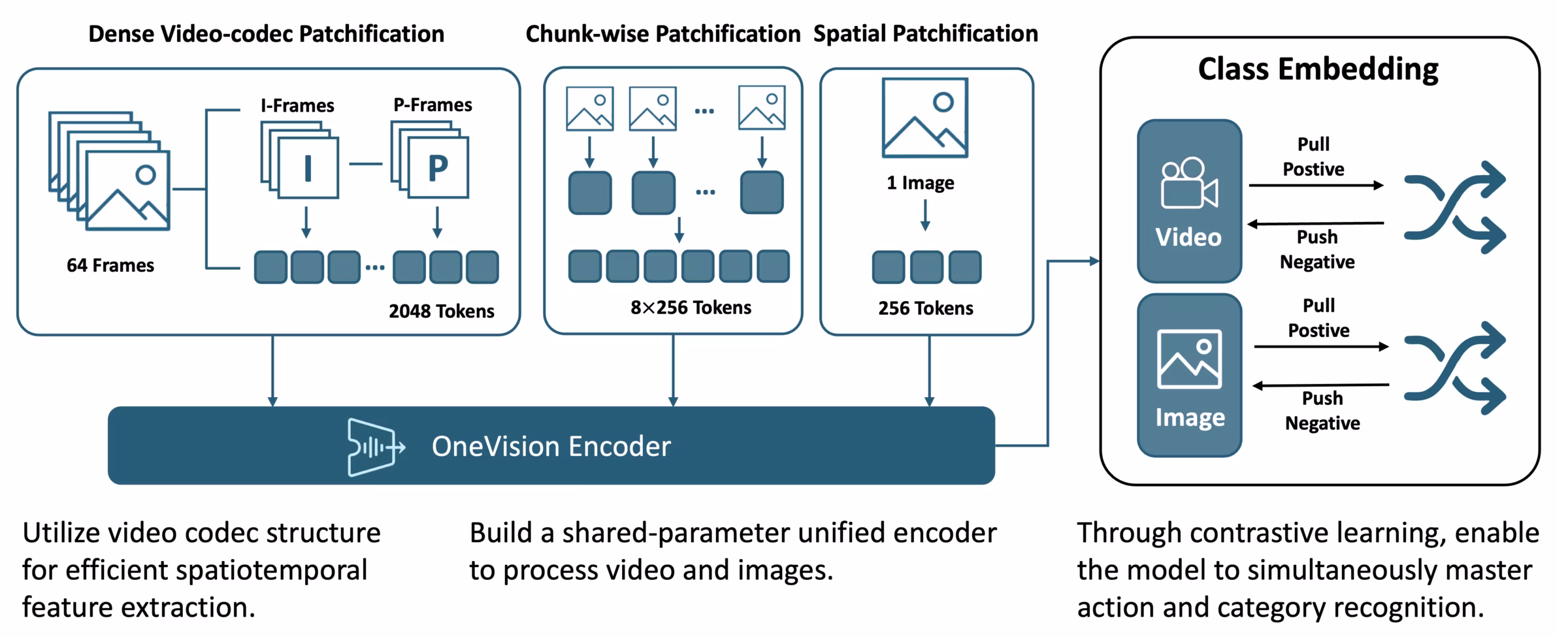 OneVision-Encoder architecture overview